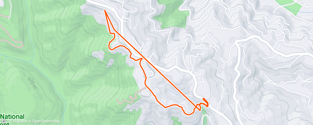 Map of the activity, a 4 mile hike. no…really