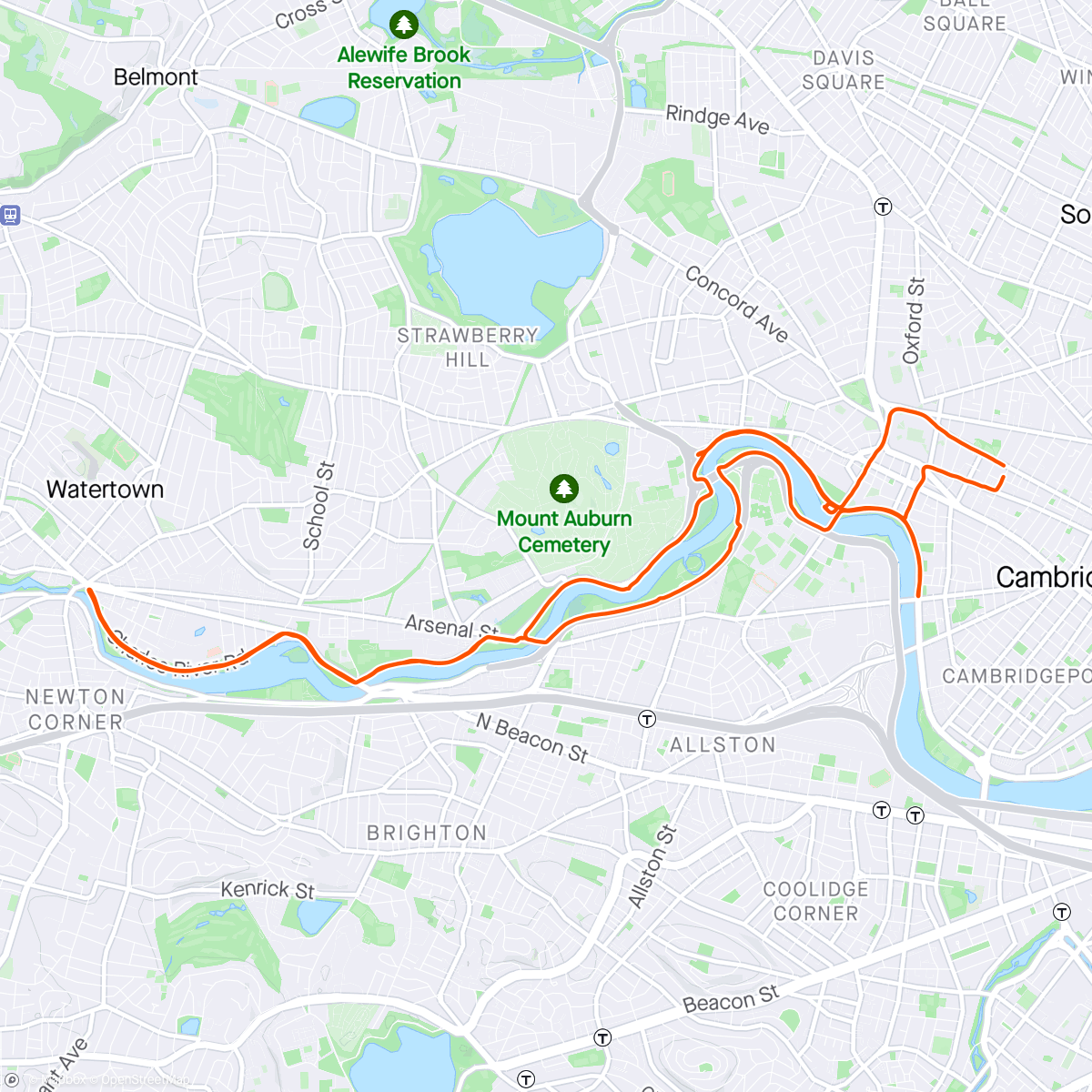 Mapa de la actividad (Sunday ride)