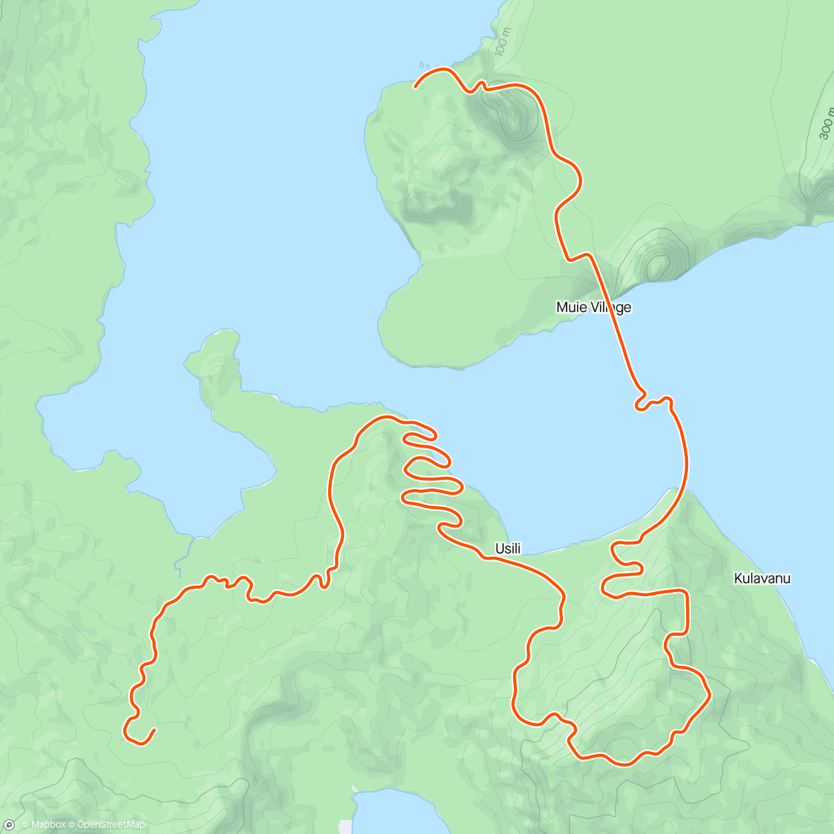 Mapa de la actividad, Zwift - Big Loop in Watopia