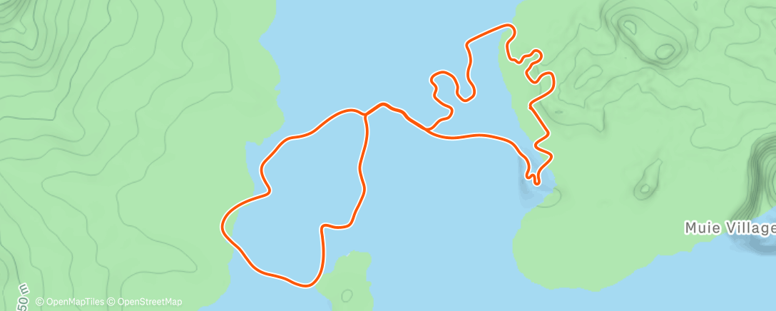 Map of the activity, Zwift - Jarvis Seaside Sprint in Watopia