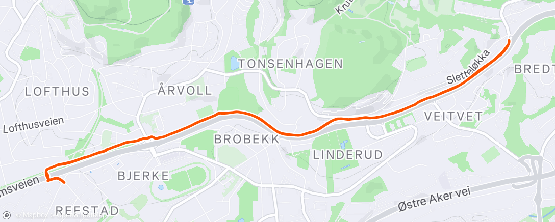 Map of the activity, Evening Run