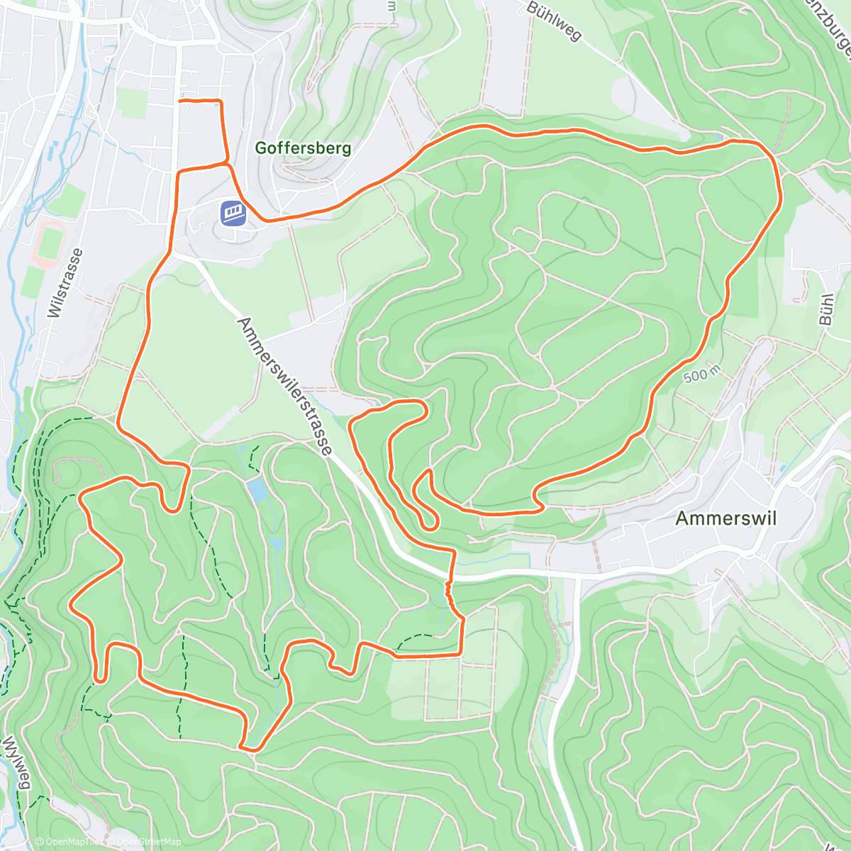 Карта физической активности (LunchRun)