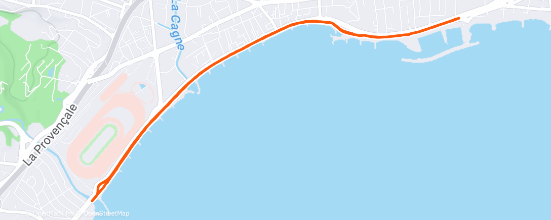 Карта физической активности (Corps-mourant / Cormoran 🐧🪶)