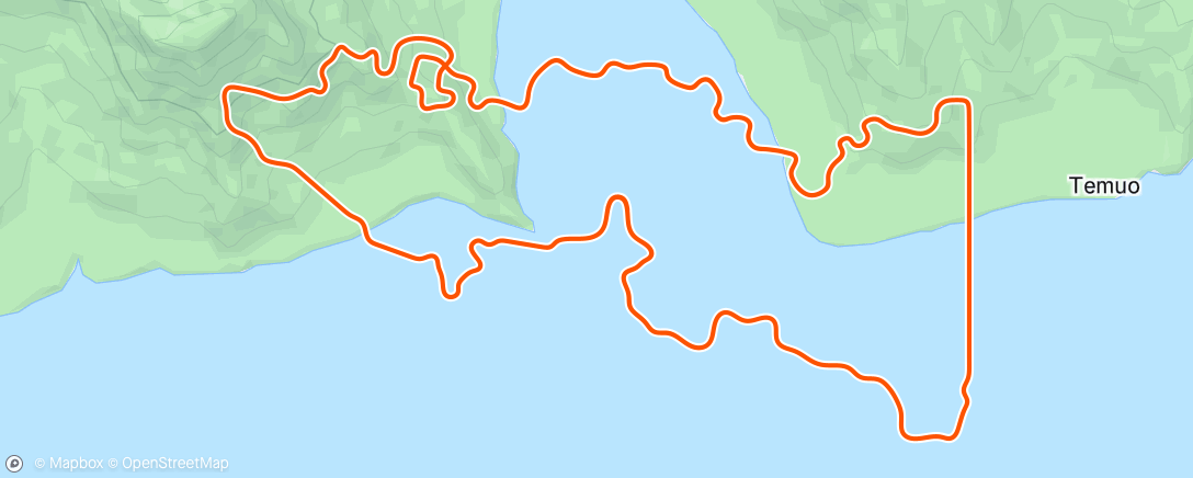 Map of the activity, Z2 spin w/1 leg check