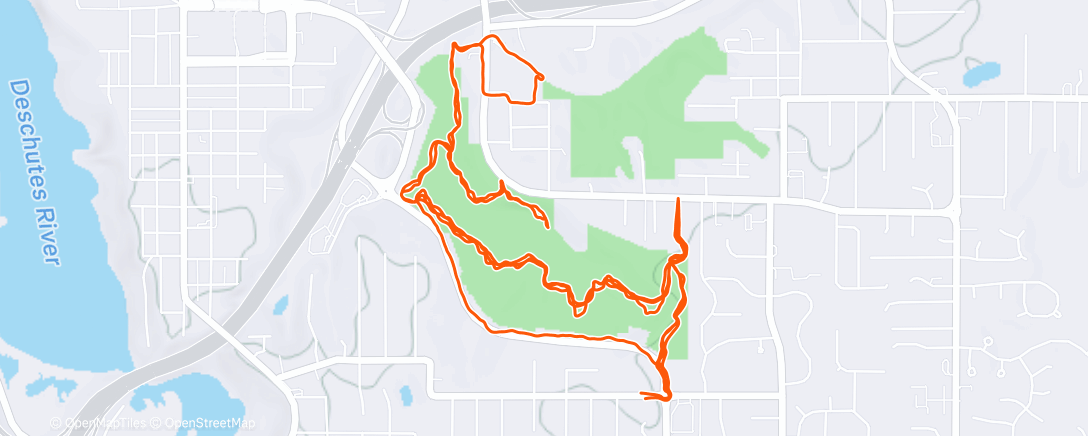 Карта физической активности (Afternoon Run: Getting in some night running.)