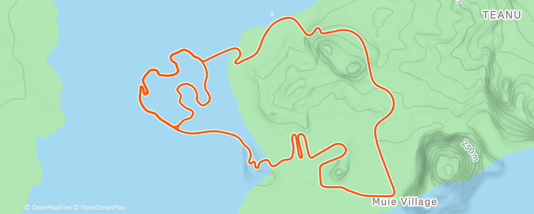 Карта физической активности (Zwift 05/2026 - Volcano Flat in Watopia)