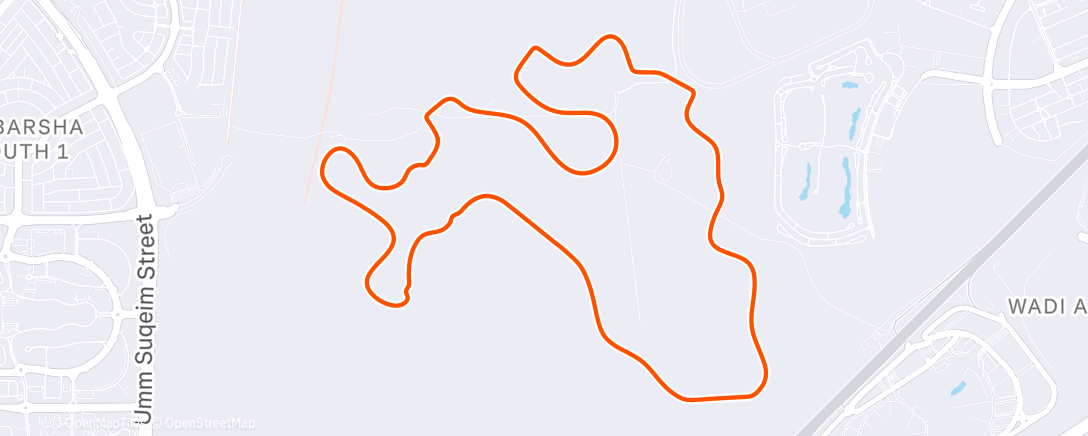 Map of the activity, MyWhoosh - Zone 2 Steady State