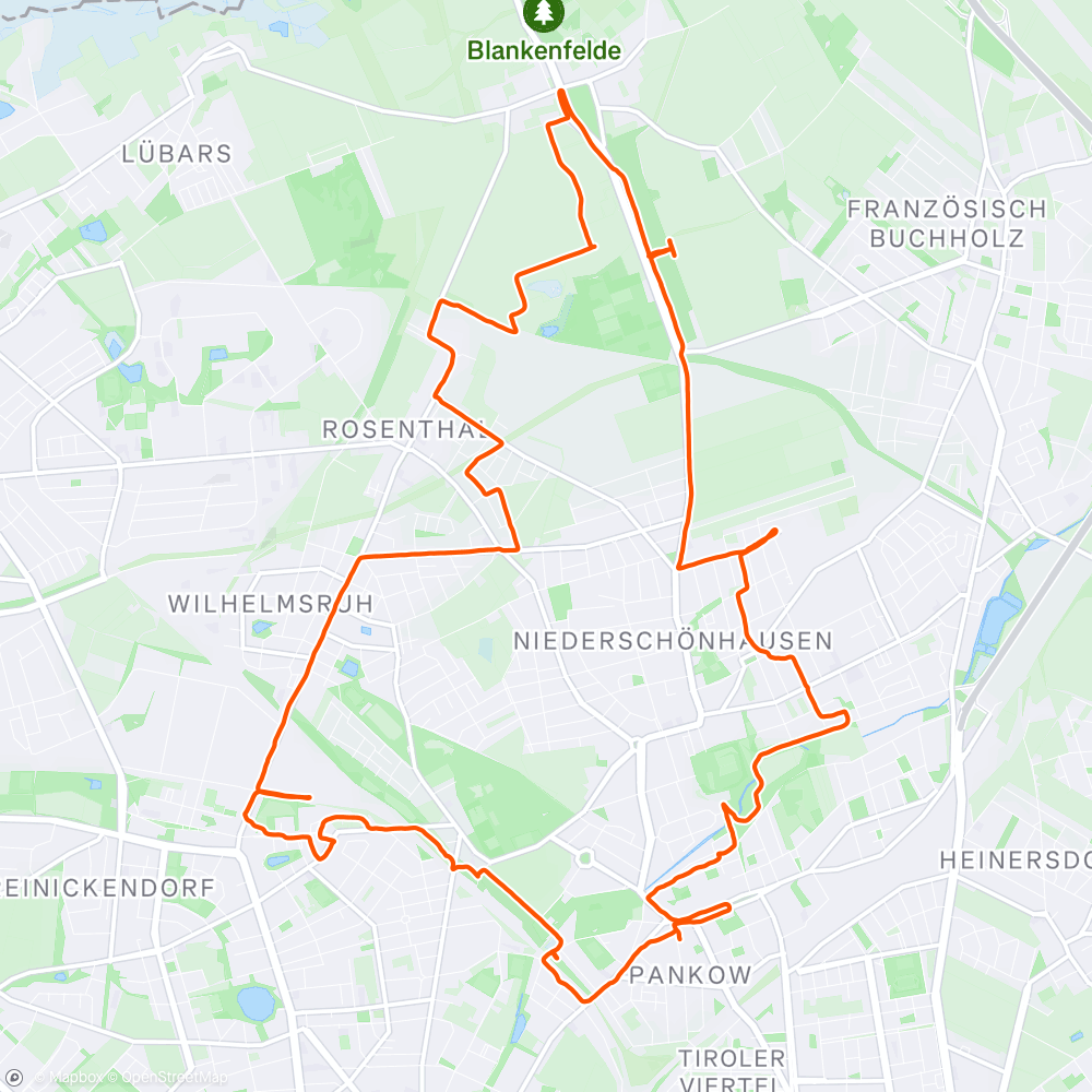 Map of the activity