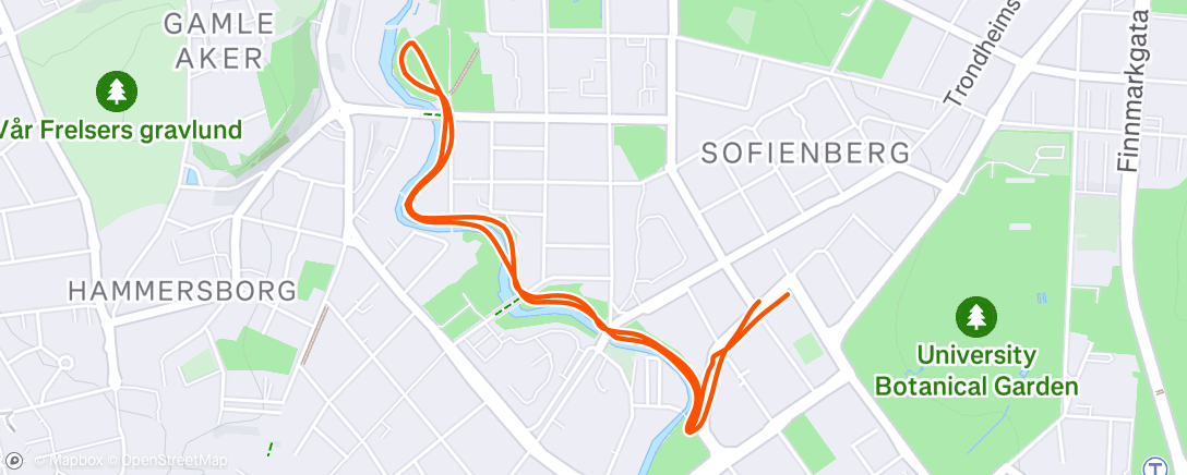 Map of the activity, Morning Run