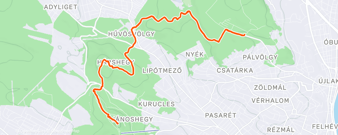 Карта физической активности (Balboa Klasszik powered by Dominik)