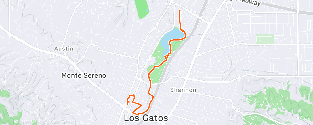 Map of the activity, Afternoon Walk