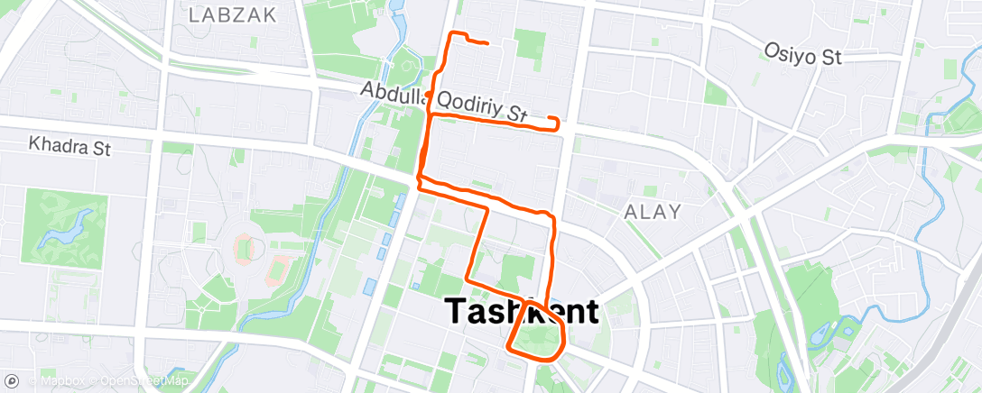 Map of the activity, Morning Run