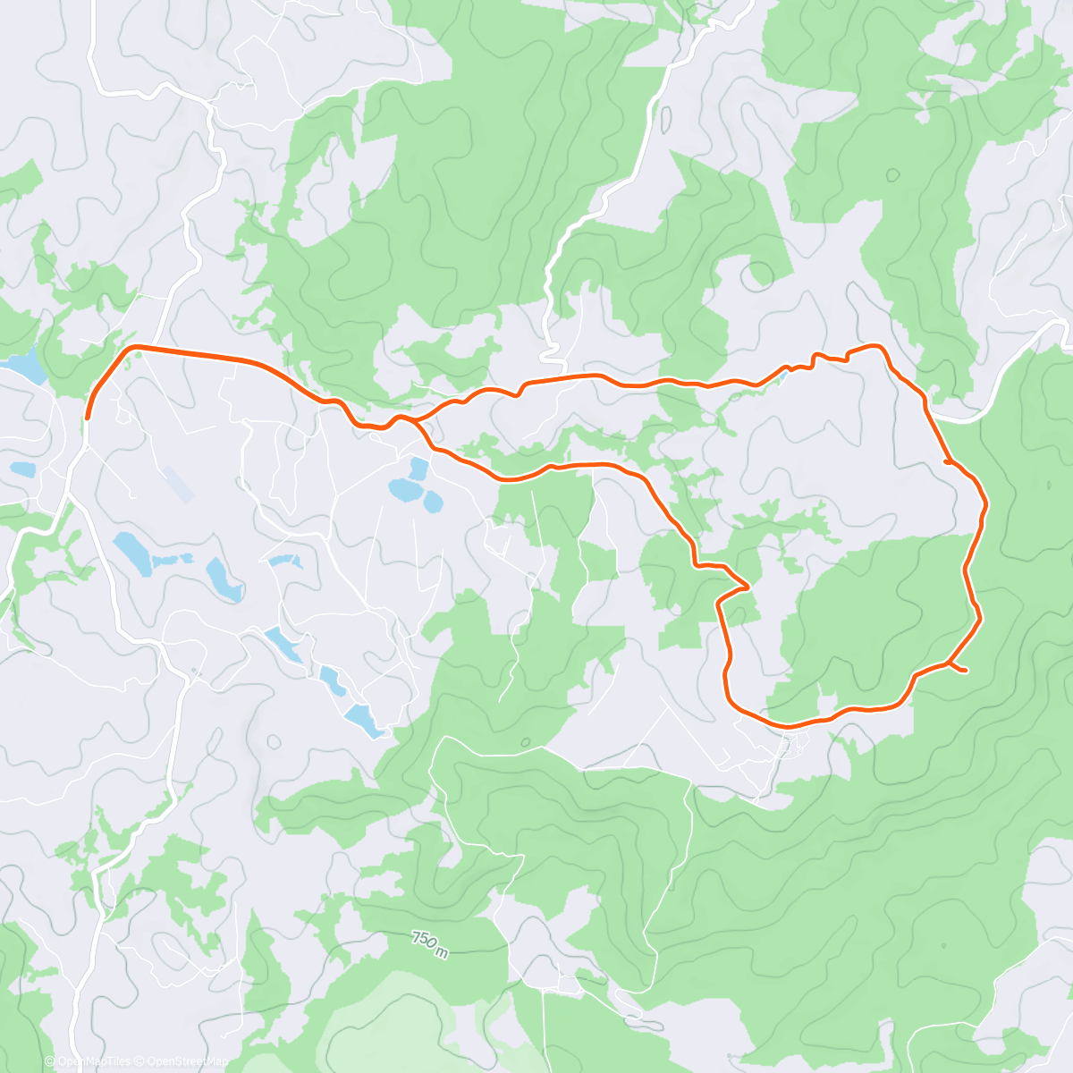 Map of the activity, Observatório with Lee