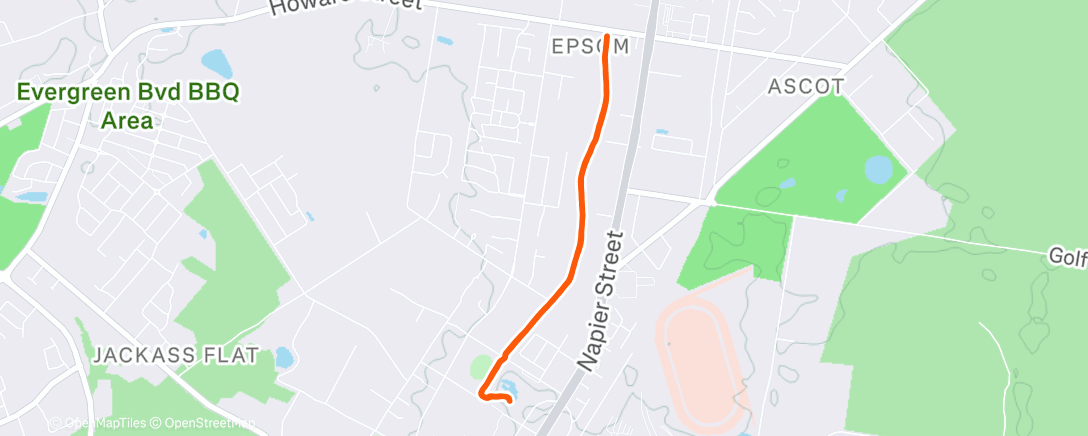 Map of the activity, Morning Run