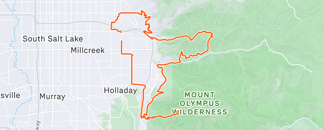 Map of the activity, Morning Run