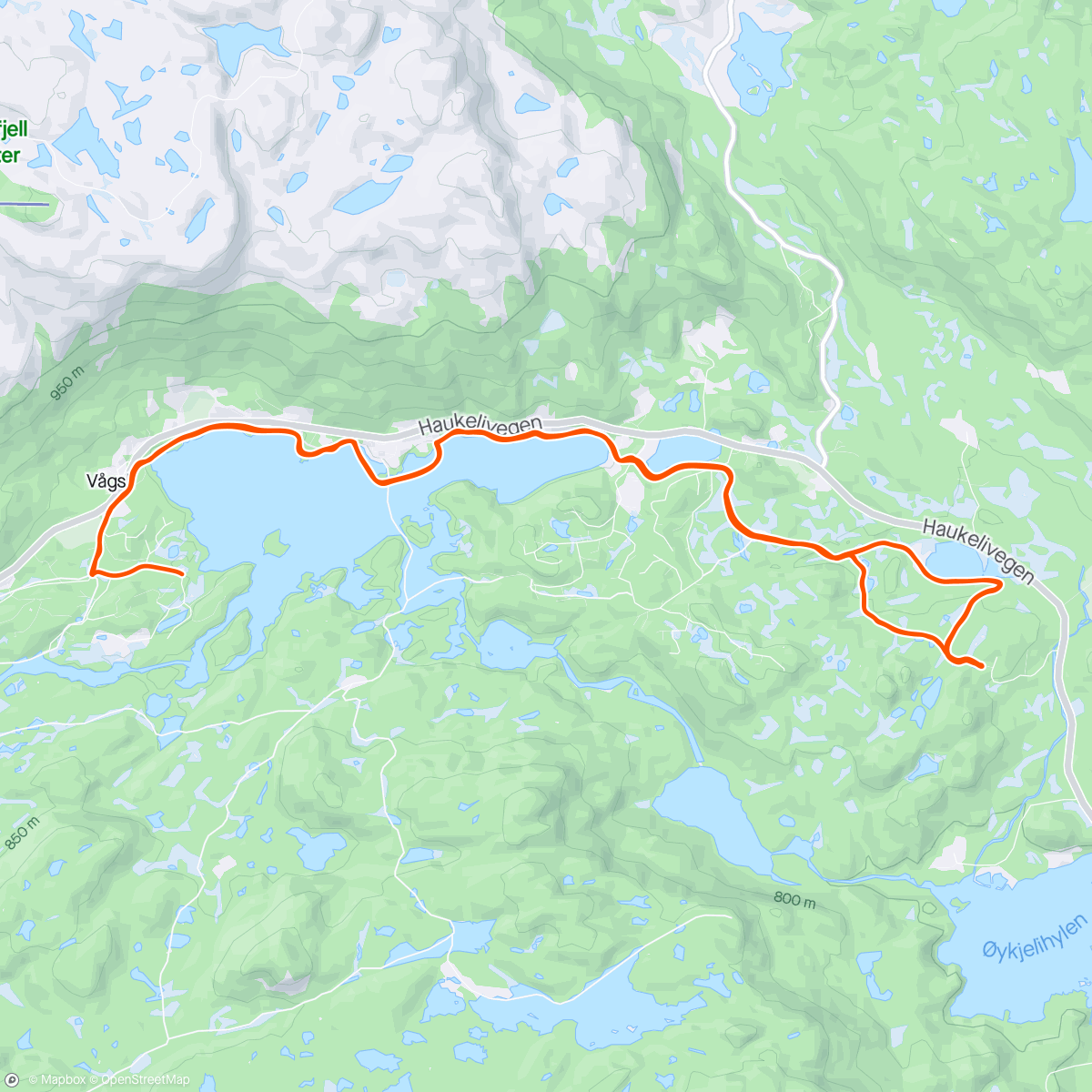 Map of the activity, Øykjeli (s)