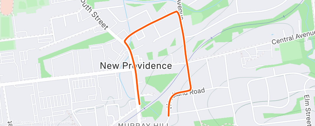 Map of the activity, Night Run