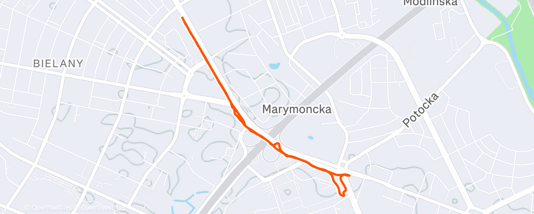 Карта физической активности (Afternoon Walk)