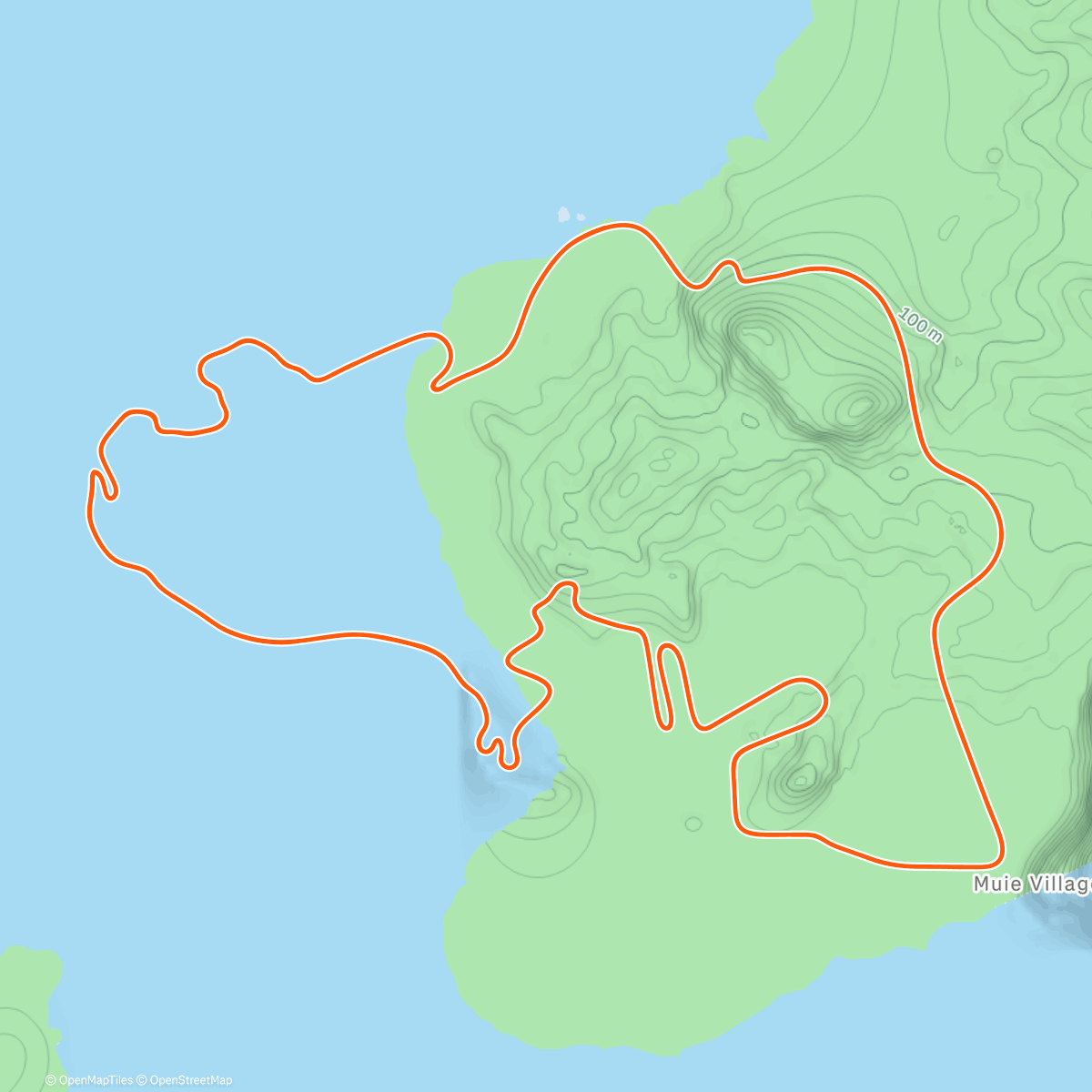Карта физической активности (Zwift - Recovery Into Low Endurance on Beach Island Loop in Watopia)
