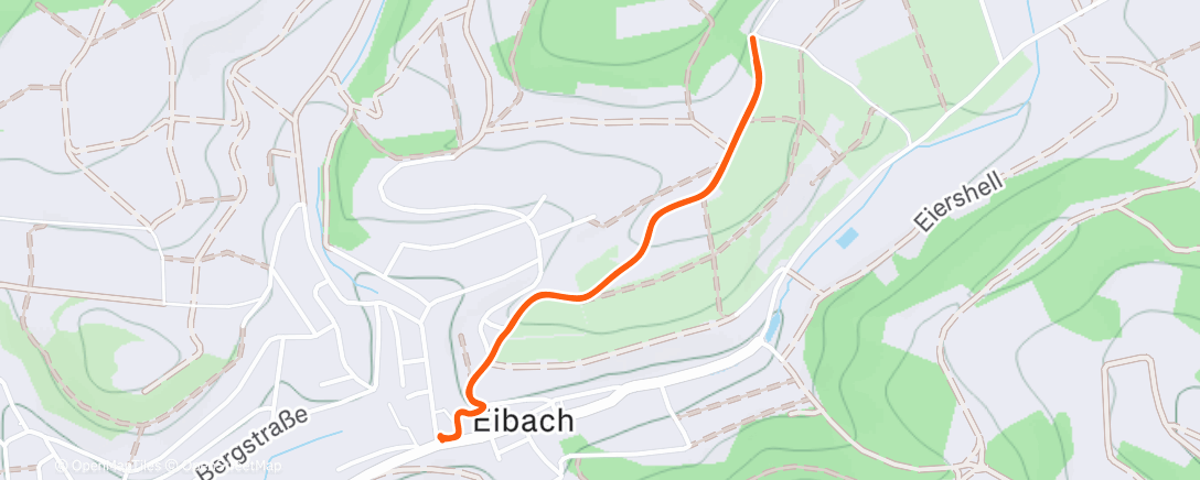 Карта физической активности (Zum Bäcker 🐕‍🦺🐕‍🦺🐕‍🦺👟👟)