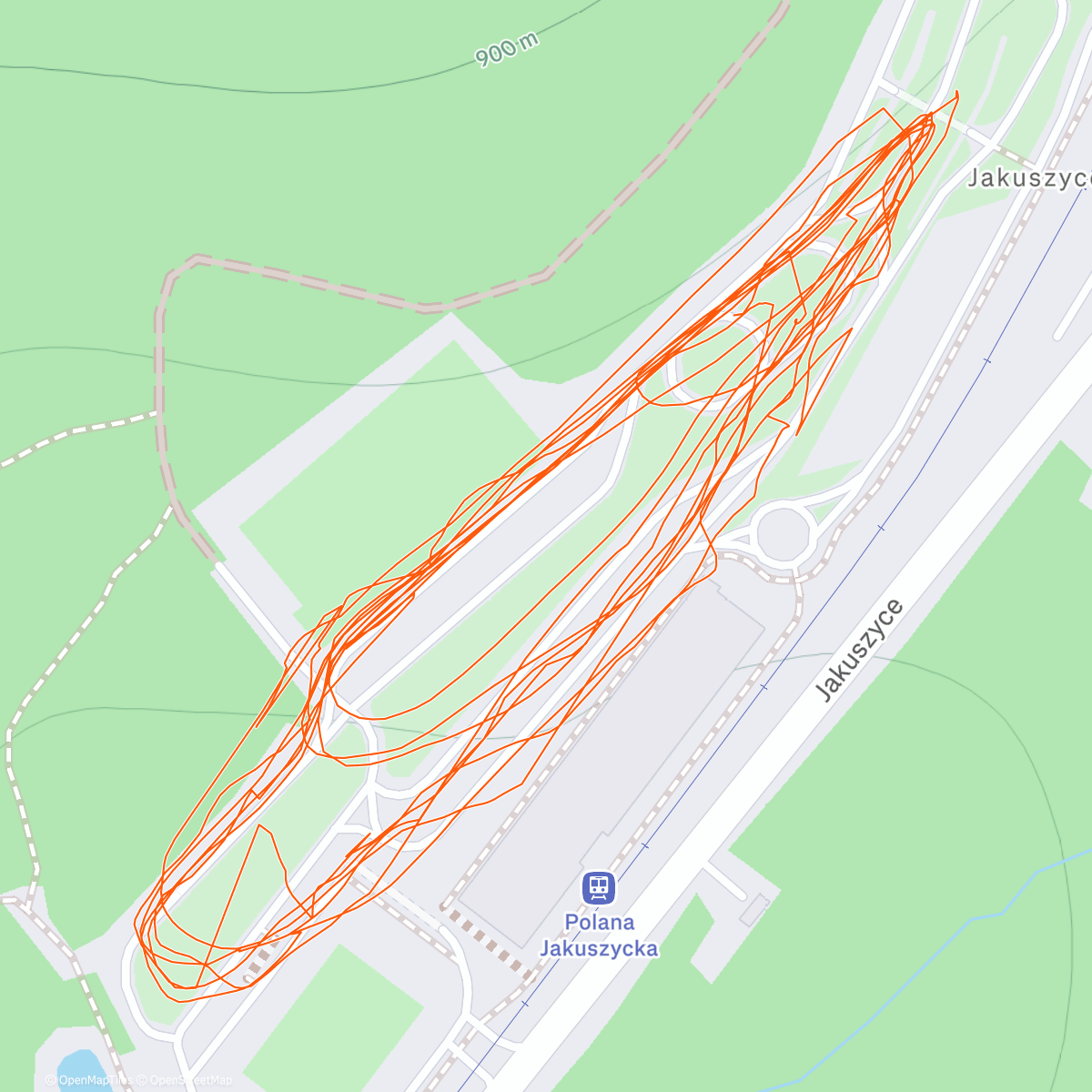 Карта физической активности (Lunch Activity)