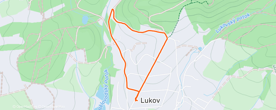 Карта физической активности (Mini procházka)