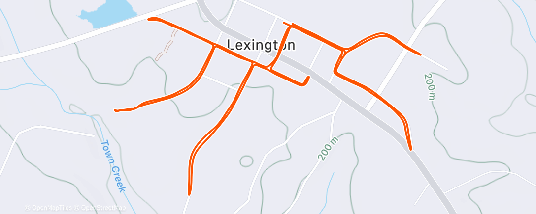 Map of the activity, Morning Run