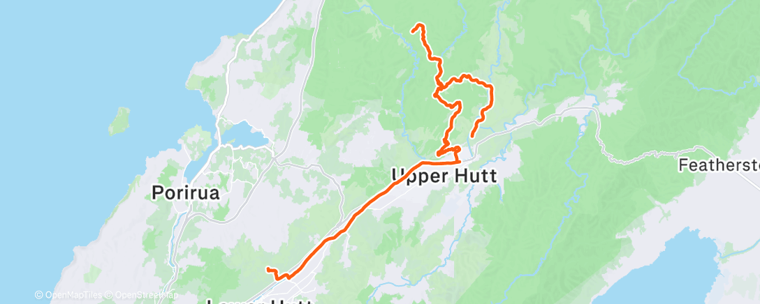 Mappa dell'attività Morning Run