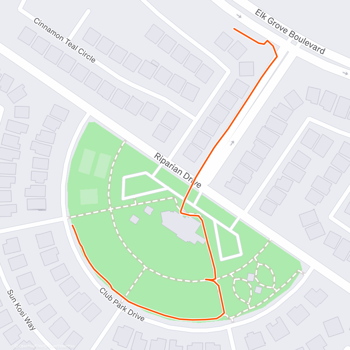 Карта физической активности (Afternoon Walk with Jayd)