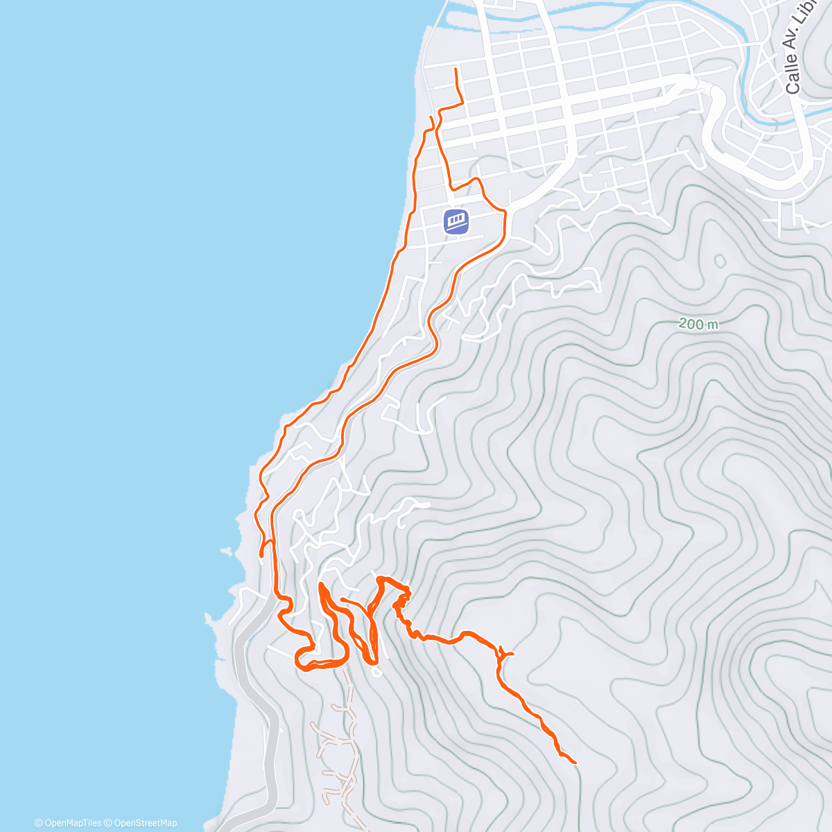 Карта физической активности (Goals…..)