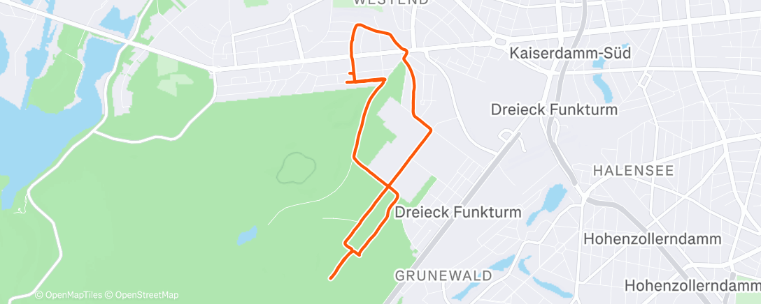 Карта физической активности (Nachtlauf)