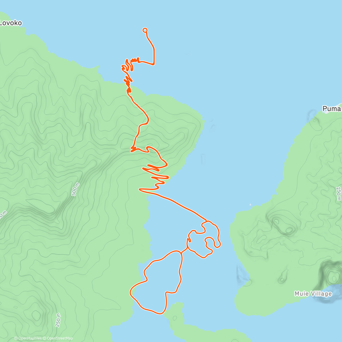 Карта физической активности (Zwift - Climb Portal: Gotthard Pass at 100% Elevation in Watopia)