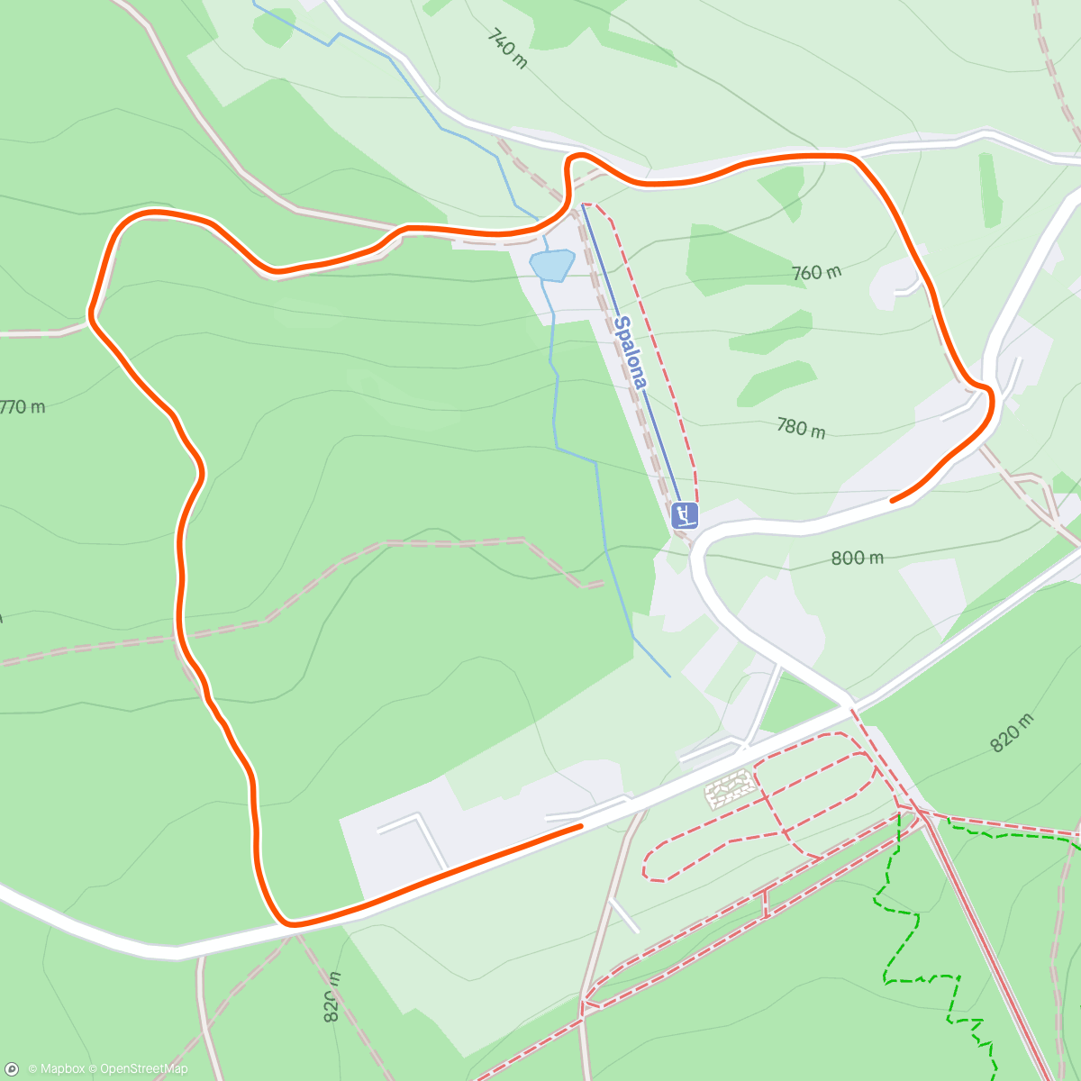 Map of the activity, 🌲🌲