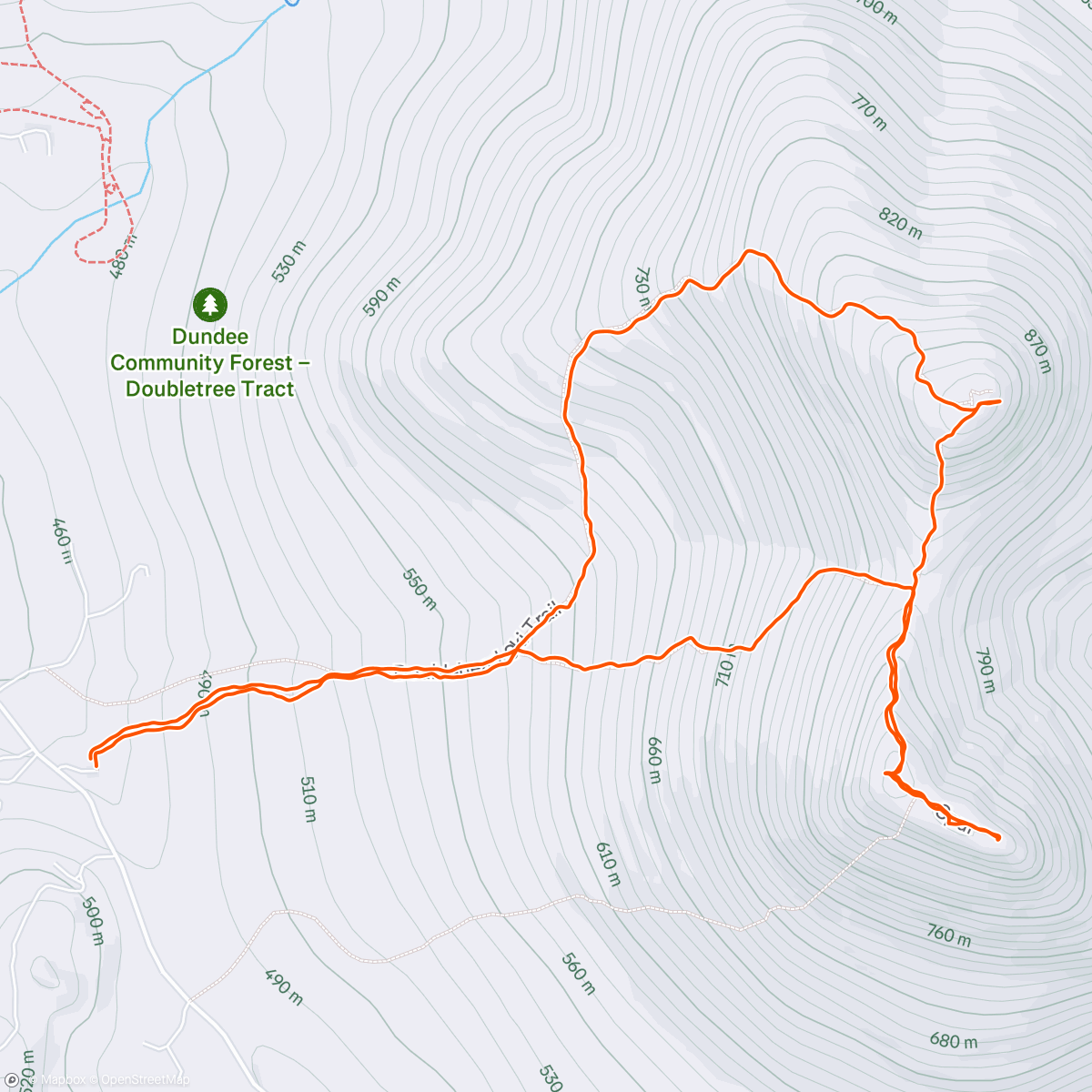 Map of the activity, Evening pup walk