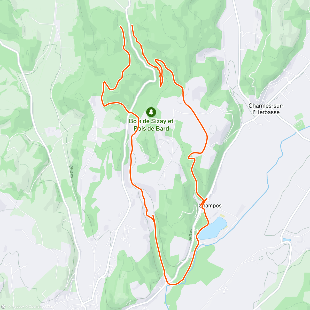 Mappa dell'attività Sizay