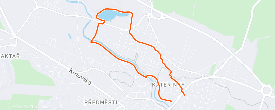 Карта физической активности (Morning Run)