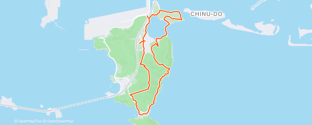 Карта физической активности (Morning Trail Run)