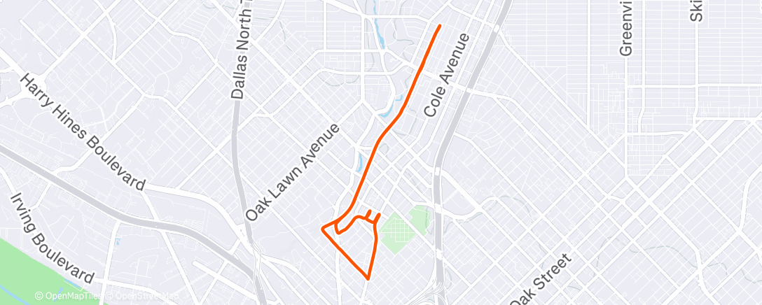 Карта физической активности (Evening Run)