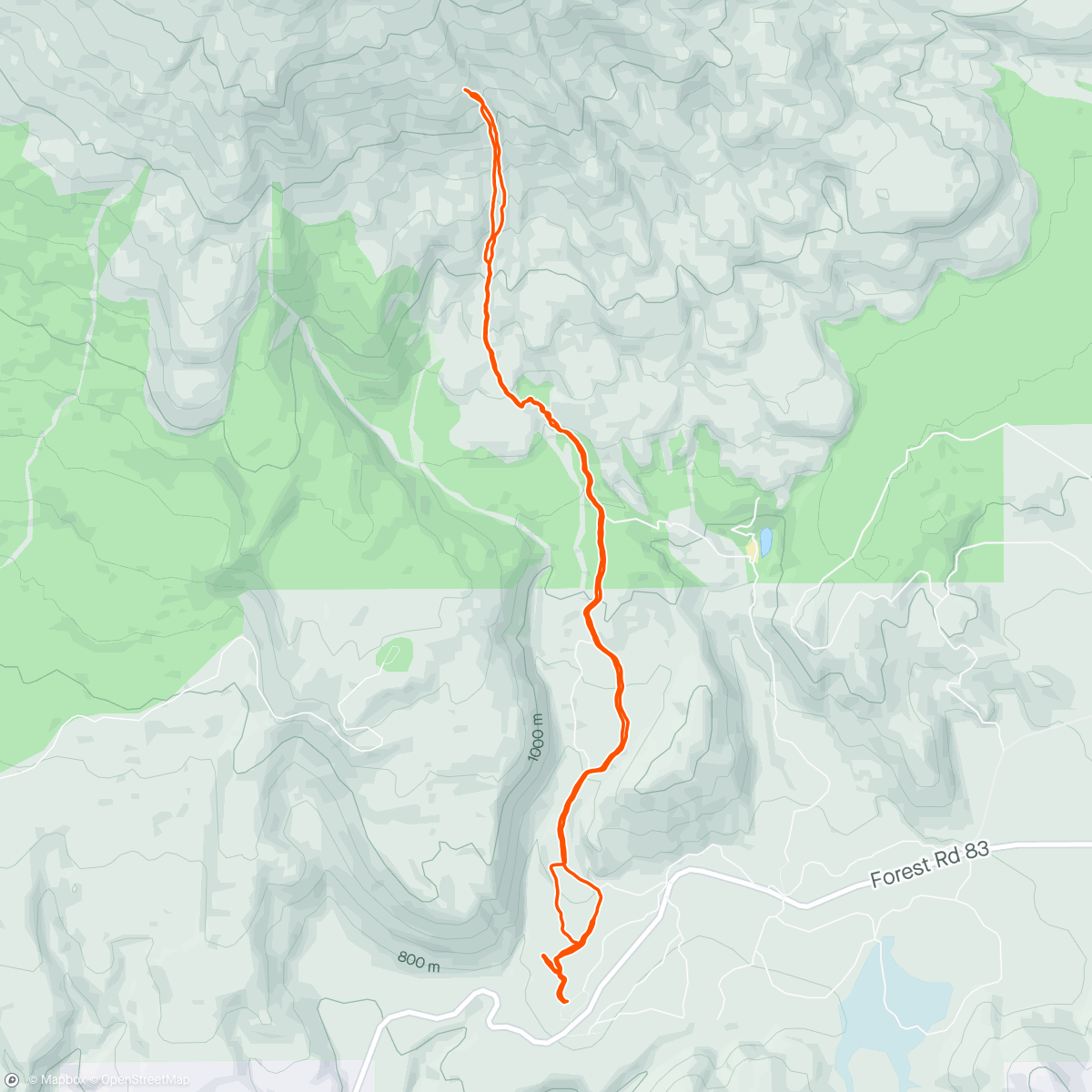 アクティビティ「Trail - Mt St Helens」の地図