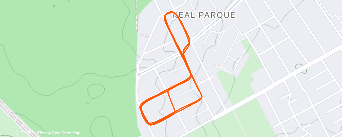 Карта физической активности (Evening Run)