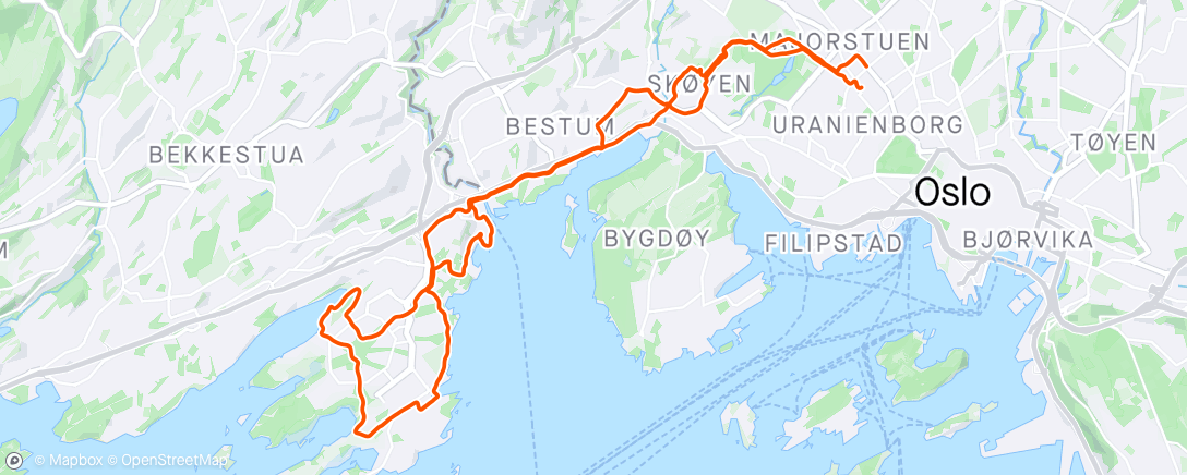 Карта физической активности (Fornebu)