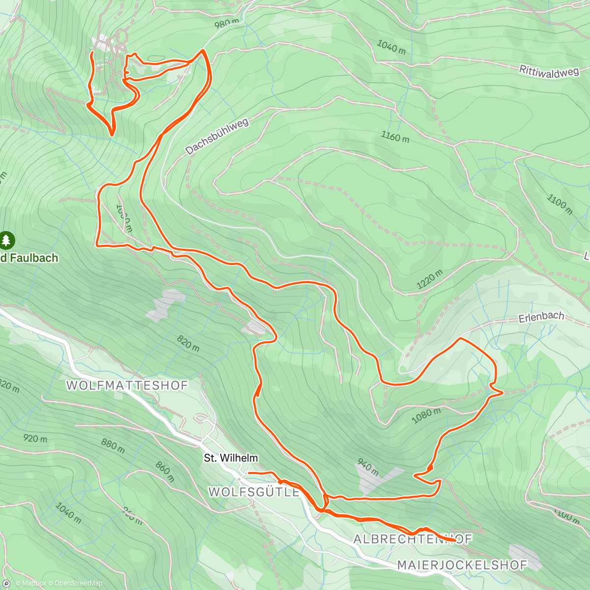 Map of the activity, Höhenmeter sammeln im Nebel 📈
