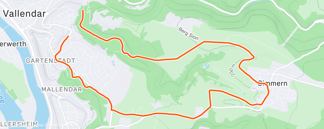 Карта физической активности (Lauf am Morgen)