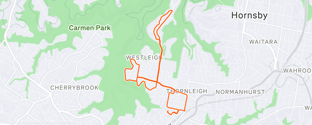 Map of the activity, Morning Ride