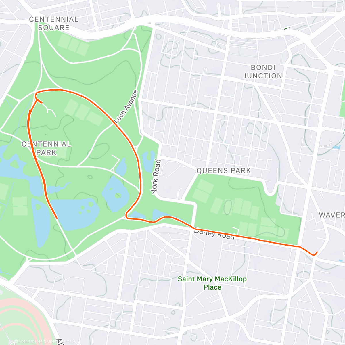 Карта физической активности (Morning Run)