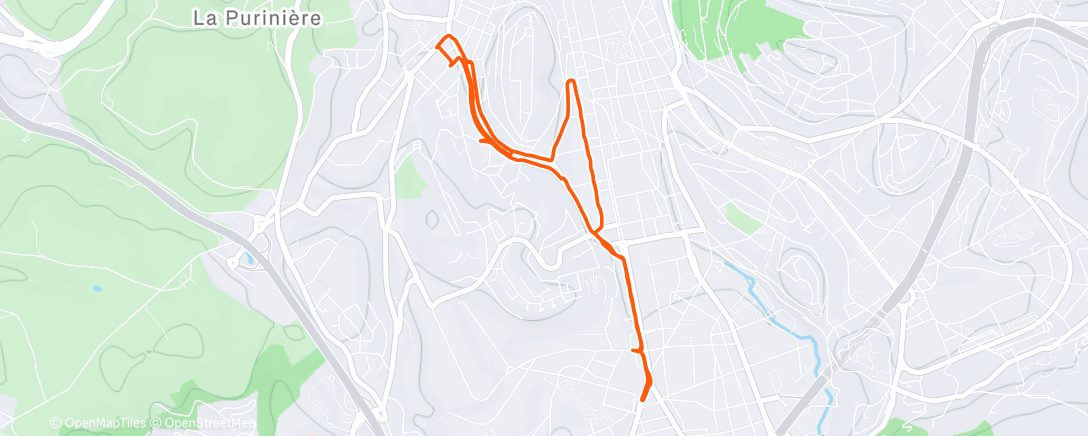 Карта физической активности (291225 Run #9)