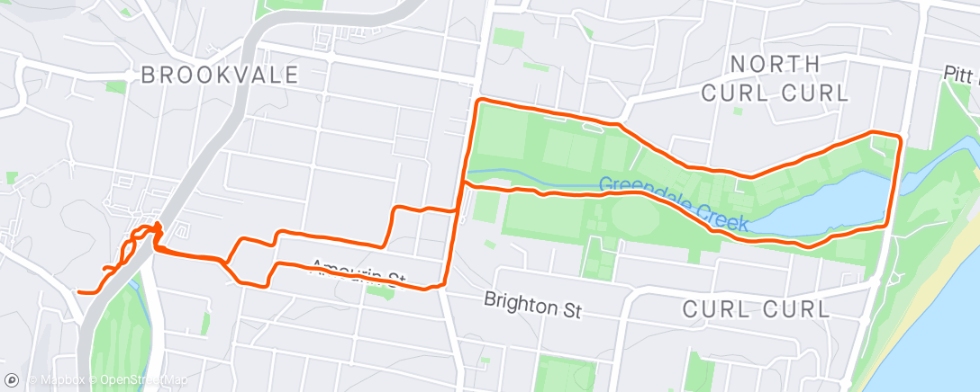 Map of the activity, Morning Run - Curly Park
