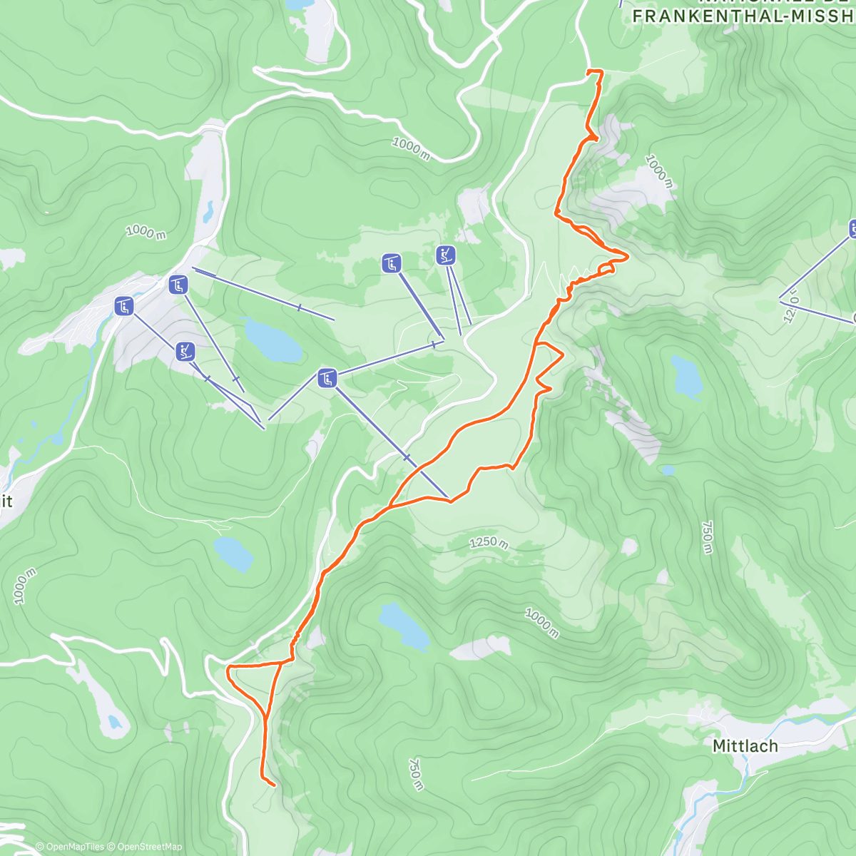 Map of the activity, Trail avec le copain 🐕‍🦺