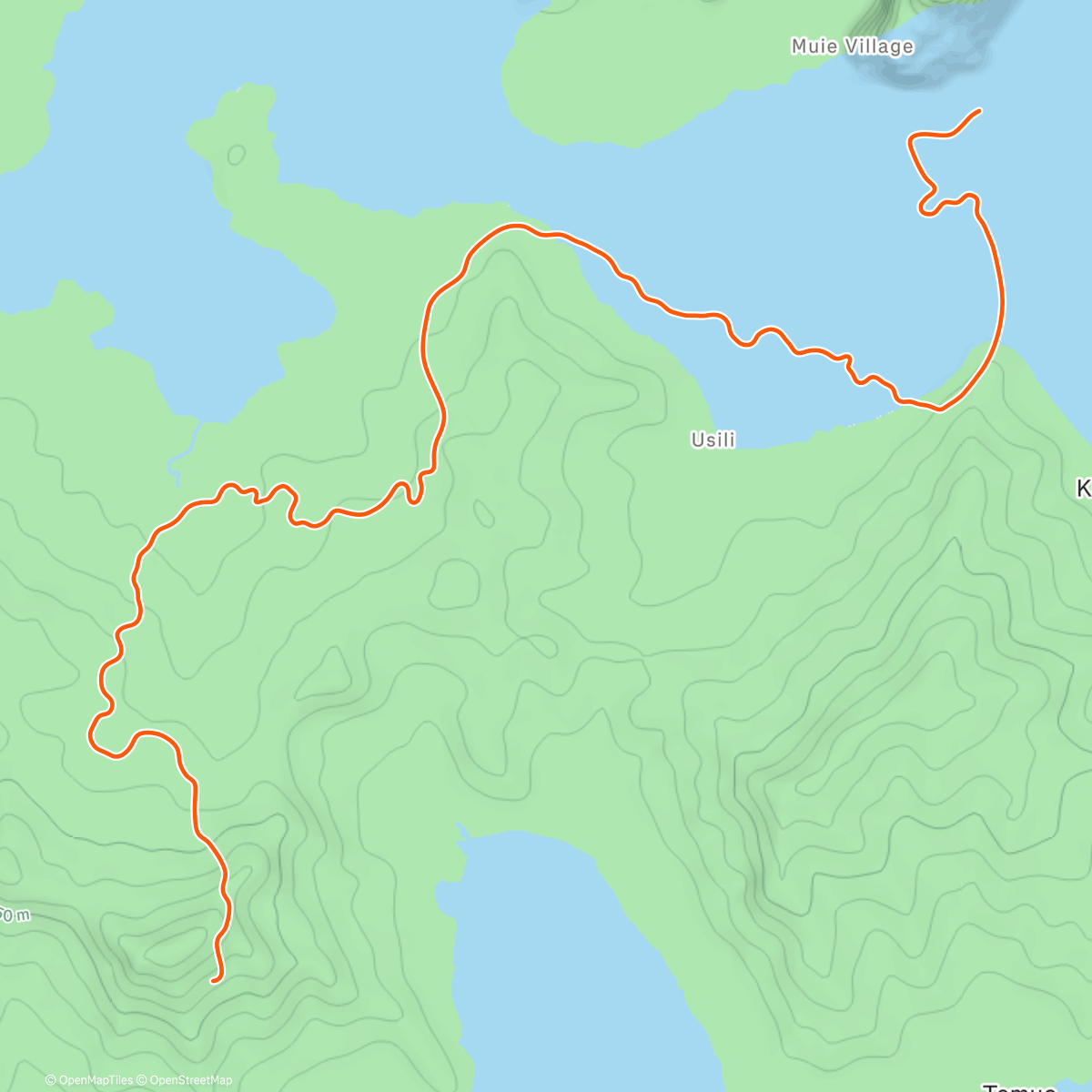 Map of the activity, Zwift - Sugar Cookie in Watopia