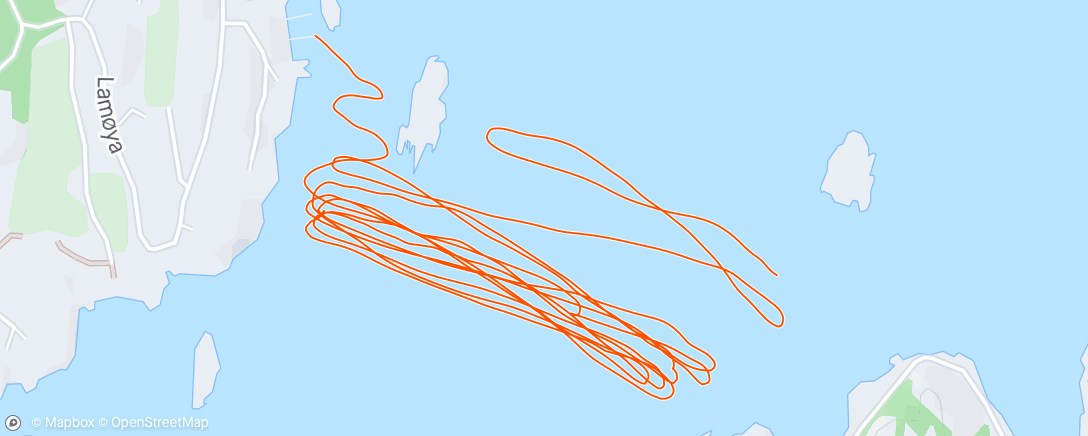 Карта физической активности (Wingfoil, Afternoon by Waterspeed ✅)